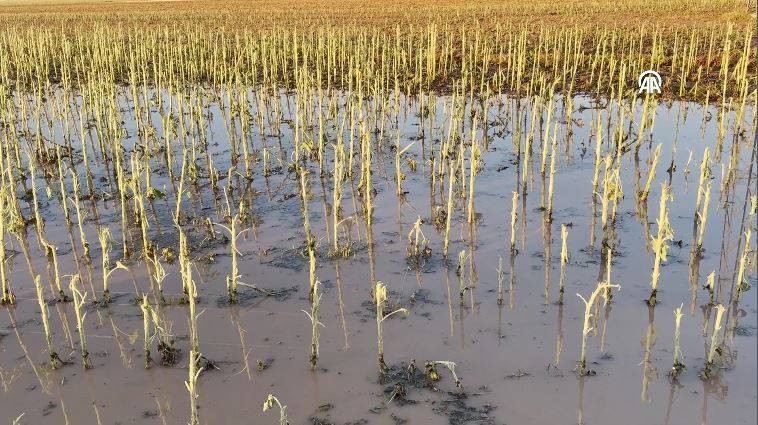 Dolunun vurduğu Kırklareli'nde hasar tespit çalışmaları tamamlandı - Resim: 1